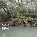 绍兴旅游 缩略图 10