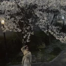 绍兴旅游 缩略图 12