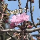 合肥旅游 缩略图 1