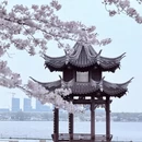 绍兴旅游 缩略图 3