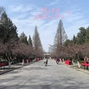 合肥旅游 缩略图 2