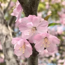 合肥旅游 缩略图 8