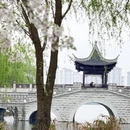 绍兴旅游 缩略图 11