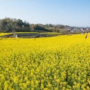绍兴旅游 缩略图 11