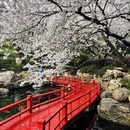 嘉兴旅游 缩略图 2
