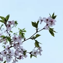 绍兴旅游 缩略图 10