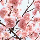 镇江旅游 缩略图 7
