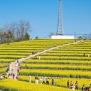 绍兴旅游 缩略图 18