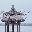 绍兴旅游 缩略图 4