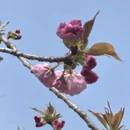 合肥旅游 缩略图 3