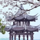绍兴旅游 缩略图 5