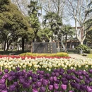 合肥旅游 缩略图 6