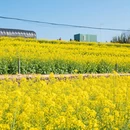 绍兴旅游 缩略图 12