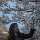 绍兴旅游 缩略图 17