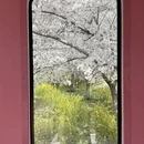 郑州旅游 缩略图 6