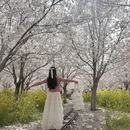 郑州旅游 缩略图 11