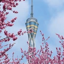 郑州旅游 缩略图 1