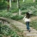 合肥旅游 缩略图 10