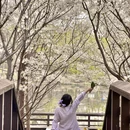 郑州旅游 缩略图 2