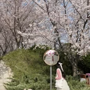 郑州旅游 缩略图 9