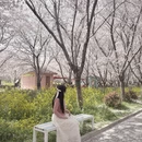 郑州旅游 缩略图 10