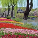 绍兴旅游 缩略图 6