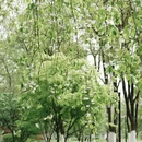 合肥旅游 缩略图 5