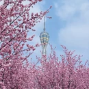 郑州旅游 缩略图 2