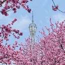 郑州旅游 缩略图 3
