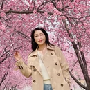 郑州旅游 缩略图 5