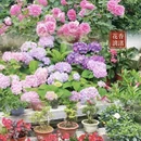 绍兴旅游 缩略图 10