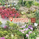 绍兴旅游 缩略图 11