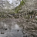 北京旅游 缩略图 3