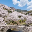 绍兴旅游 缩略图 2