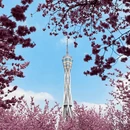 郑州旅游 缩略图 10