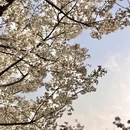郑州旅游 缩略图 11
