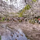 北京旅游 缩略图 1