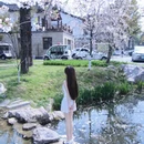 合肥旅游 缩略图 5
