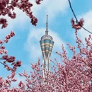 郑州旅游 缩略图 6