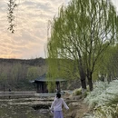 郑州旅游 缩略图 8