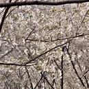 郑州旅游 缩略图 9