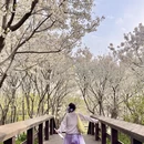 郑州旅游 缩略图 10