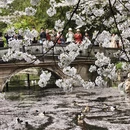北京旅游 缩略图 2