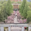 合肥旅游 缩略图 2