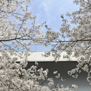 宁波旅游 缩略图 2