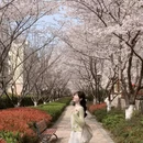 合肥旅游 缩略图 1