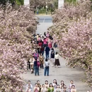 合肥旅游 缩略图 3