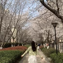 合肥旅游 缩略图 3