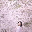 合肥旅游 缩略图 1