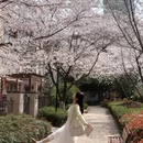 合肥旅游 缩略图 4